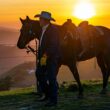Cinco práticas indispensáveis que garantem mais lucro e produtividade na sua fazenda de pecuária