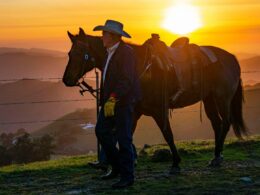 Cinco práticas indispensáveis que garantem mais lucro e produtividade na sua fazenda de pecuária