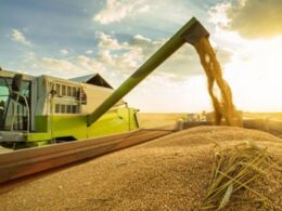 Clima Favorável nos EUA Despenca Preços de Soja e Milho: Oportunidade de Compra ou Alerta? 14 clima favoravel nos eua despenca precos de soja e milho