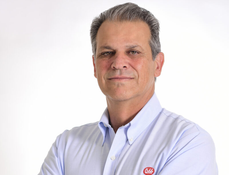 cobb vantress otimiza estrategia na latcan descubra como as novas estruturas