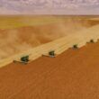 com boas e mas noticias pib do setor agro surpreende