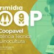 como a coopavel revoluciona a qualidade da assistencia tecnica na