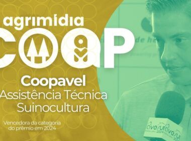 como a coopavel revoluciona a qualidade da assistencia tecnica na