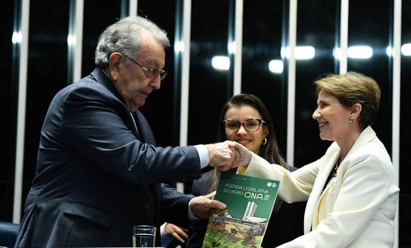 como a defesa do direito de propriedade pode transformar o
