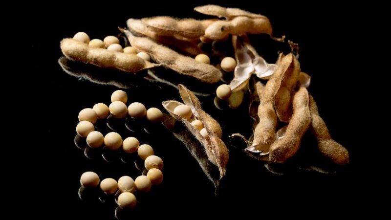 como a disputa entre trump e china abre novas oportunidades