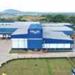 como a frigol esta expandindo fronteiras na gulfood e o