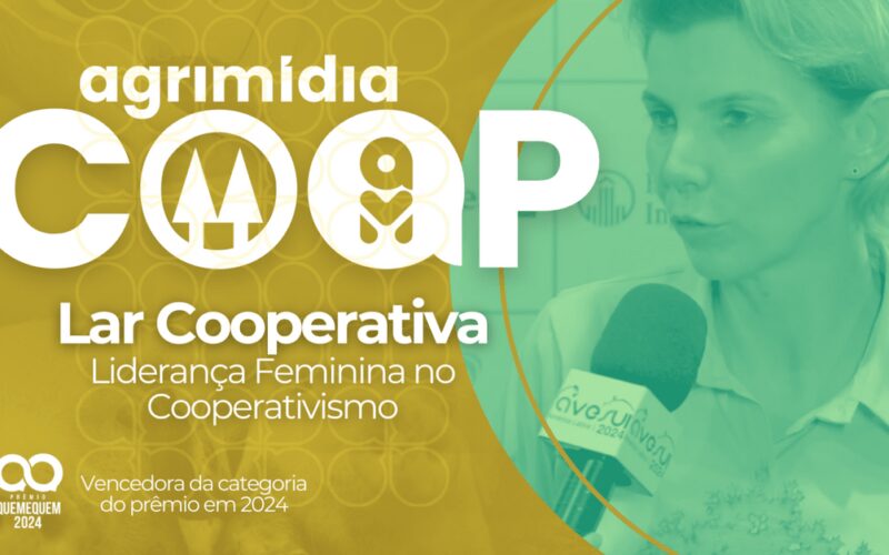 como a lideranca feminina transforma a lar cooperativa exemplos inspiradores