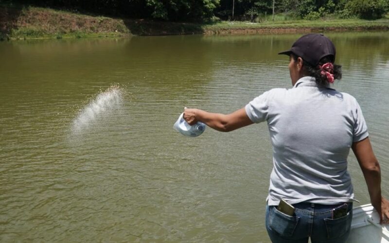 como a piscicultura esta transformando a economia da amazonia colombiana