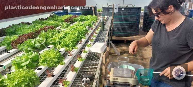 como o perifiton transforma fazendas em fortalezas de sustentabilidade