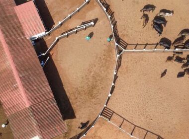 Alta rotatividade de vaqueiro na fazenda? Especialista dá dicas de como resolver isso