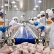 como uma guerra comercial com mexico e canada pode abalar