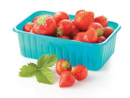 Biobased and Biodegradable PLA-Based Compounds for Extrusion and Thermoforming