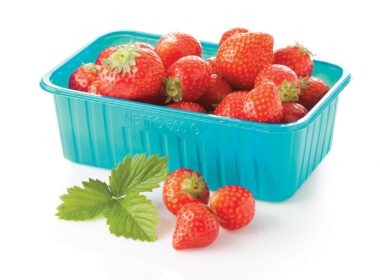 Biobased and Biodegradable PLA-Based Compounds for Extrusion and Thermoforming