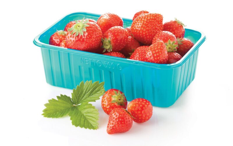 Biobased and Biodegradable PLA-Based Compounds for Extrusion and Thermoforming