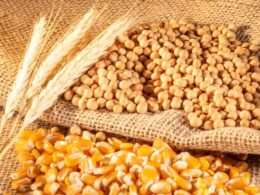 Conab projeta 353,8 milhões de toneladas em 25/26 e sinaliza abastecimento sólido e exportações mais fortes 12 Conab projeta 353,8 milhões de toneladas em 25/26 e sinaliza abastecimento sólido e exportações mais fortes