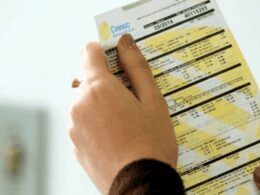 Energia elétrica já pressiona a inflação e vai ficar mais cara no mercado livre em 2026 16 Consumo de energia elétrica cresce 1,7% em junho no Brasil, aponta SIN.