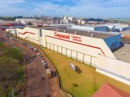 copacol garante preco recorde de r 6170 por cabeca e impulsiona a suinocultura em cafelandia parana