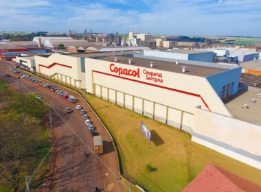 copacol garante preco recorde de r 6170 por cabeca e impulsiona a suinocultura em cafelandia parana