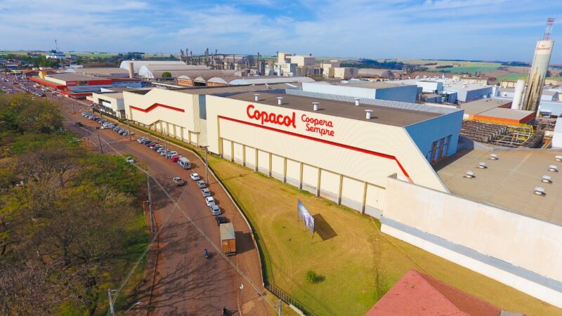 copacol garante preco recorde de r 6170 por cabeca e impulsiona a suinocultura em cafelandia parana