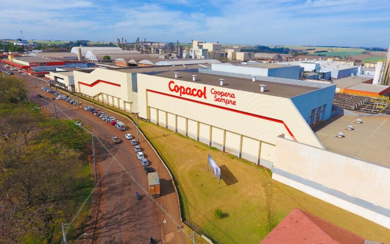 copacol garante preco recorde de r 6170 por cabeca e impulsiona a suinocultura em cafelandia parana