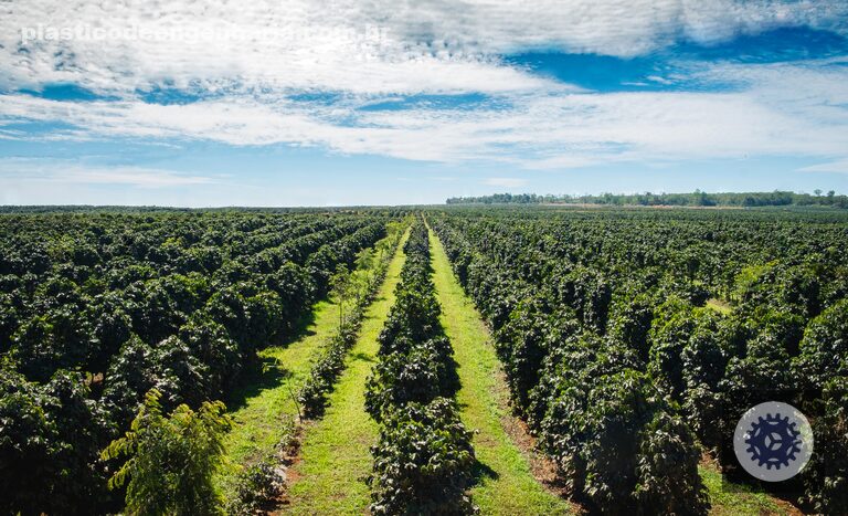 Crédito rural 2024/2025 oferece R$ 330,9 bilhões para impulsionar a agricultura e fortalecer sua produção.