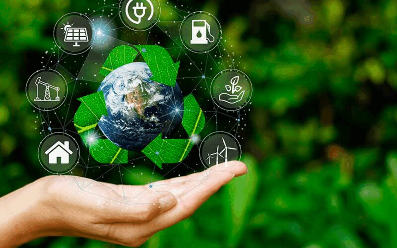 creditos ambientais fortalecem catadores garantem rastreabilidade do plastico e impulsionam