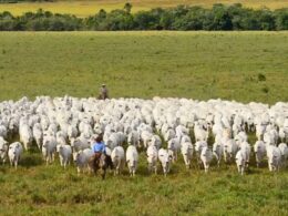 Crescimento do PIB do agronegócio para R$ 2,72 trilhões impulsiona oportunidades e investimentos no setor em 2024 18 Crescimento do PIB do agronegócio para R$ 2,72 trilhões impulsiona oportunidades e investimentos no setor em 2024