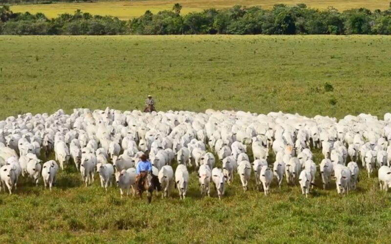 Crescimento do PIB do agronegócio para R$ 2,72 trilhões impulsiona oportunidades e investimentos no setor em 2024