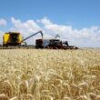 Crescimento expressivo do PIB do agronegócio em 2025 potencia oportunidades e investimentos no setor agrícola.