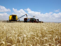 Crescimento expressivo do PIB do agronegócio em 2025 potencia oportunidades e investimentos no setor agrícola. 19 Crescimento expressivo do PIB do agronegócio em 2025 potencia oportunidades e investimentos no setor agrícola.