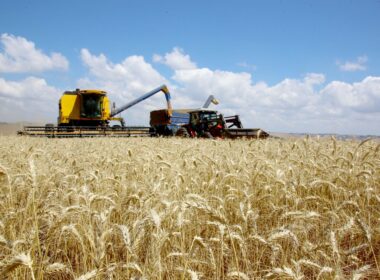 Crescimento expressivo do PIB do agronegócio em 2025 potencia oportunidades e investimentos no setor agrícola.