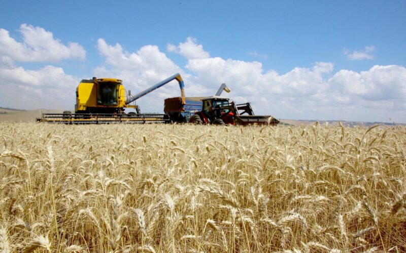Crescimento expressivo do PIB do agronegócio em 2025 potencia oportunidades e investimentos no setor agrícola.