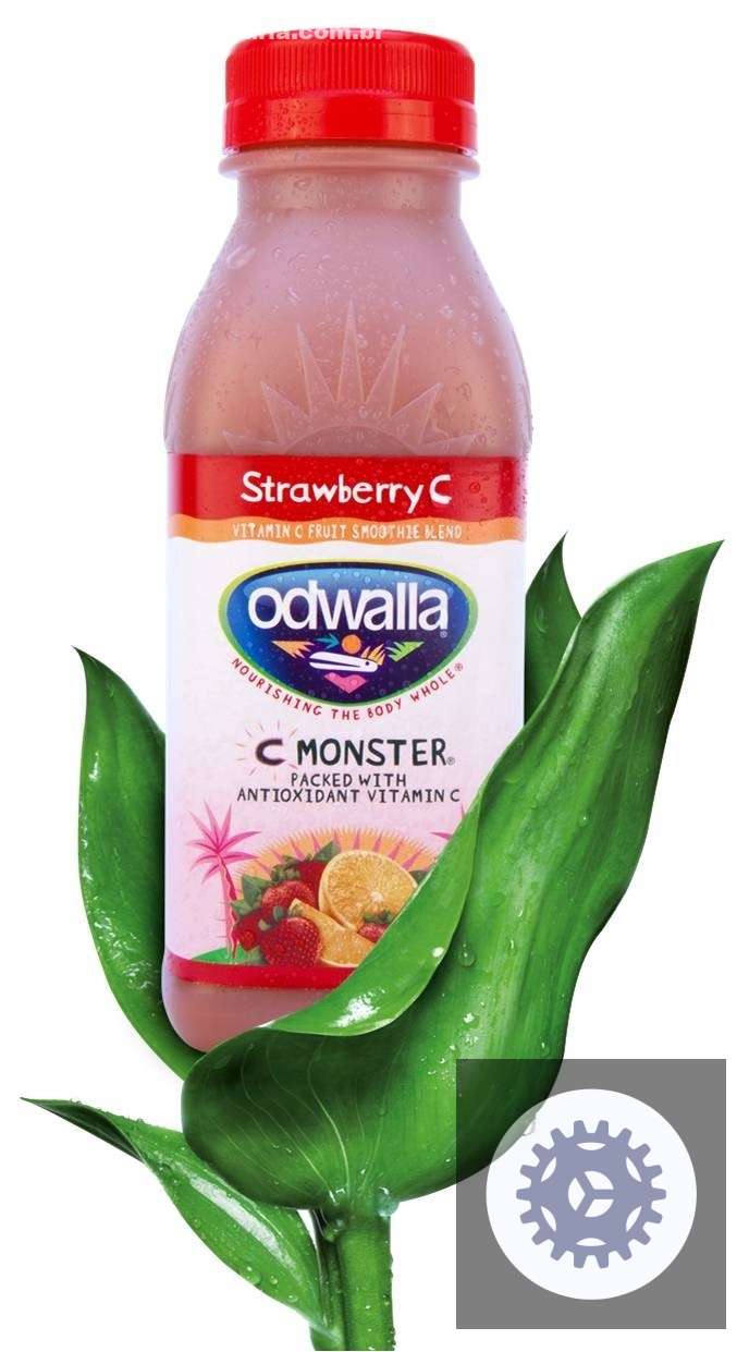 crescimento sustentavel como o pet e hdpe a base