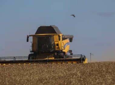 crise no mercado de graos impacta precos e pode redefinir