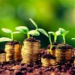 Crise rural nos EUA: como as falências em alta impactam o mercado e o futuro da agricultura em 2025.