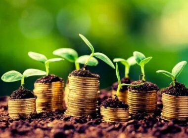 Crise rural nos EUA: como as falências em alta impactam o mercado e o futuro da agricultura em 2025.