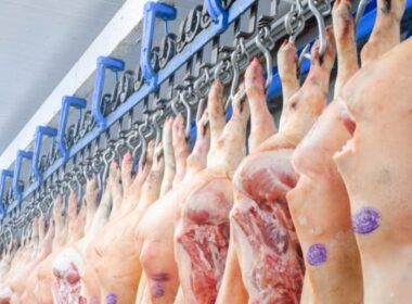 curitiba lidera preco da carne suina dispara com aumento de