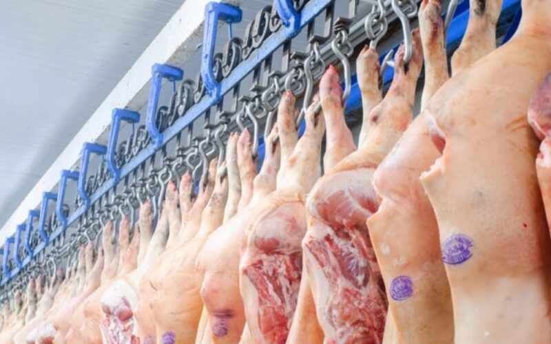 curitiba lidera preco da carne suina dispara com aumento de