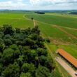 Curso técnico em agropecuária capacita profissionais para transformar o campo e impulsionar a produtividade rural