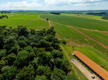 Curso técnico em agropecuária capacita profissionais para transformar o campo e impulsionar a produtividade rural
