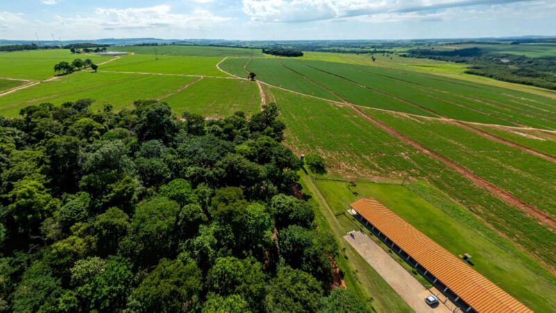 Curso técnico em agropecuária capacita profissionais para transformar o campo e impulsionar a produtividade rural