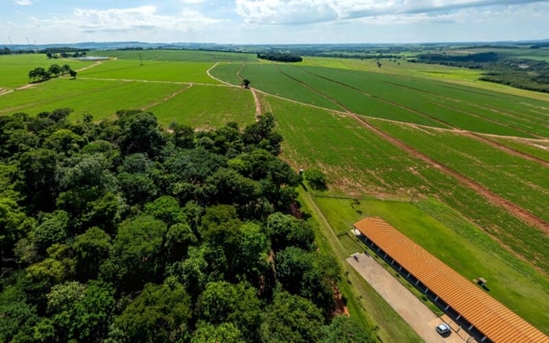 Curso técnico em agropecuária capacita profissionais para transformar o campo e impulsionar a produtividade rural