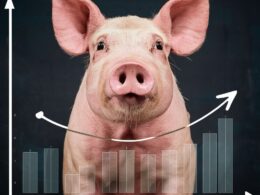 Custo de nutrição animal impacta lucros da suinocultura: estratégias para maximizar a eficiência e rentabilidade 14 custo de nutricao animal impacta lucros da suinocultura estrategias para