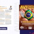 Da China ao Brasil 5 respostas do CEO da HaiNeng para cortar custos e elevar eficiência na avicultura