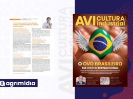 Da China ao Brasil 5 respostas do CEO da HaiNeng para cortar custos e elevar eficiência na avicultura