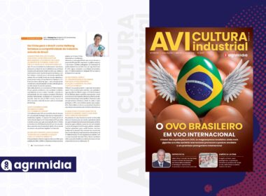 Da China ao Brasil 5 respostas do CEO da HaiNeng para cortar custos e elevar eficiência na avicultura