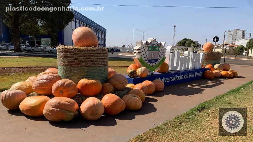 de cidade das aboboras a potencia da soja rio verde