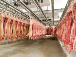 desafios logisticos impacto das tensoes no oriente medio no agronegocio