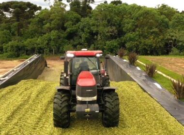 Silagem de alta qualidade depende da compactação adequada