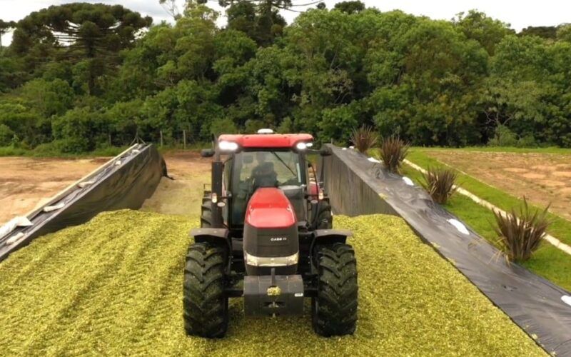 Silagem de alta qualidade depende da compactação adequada